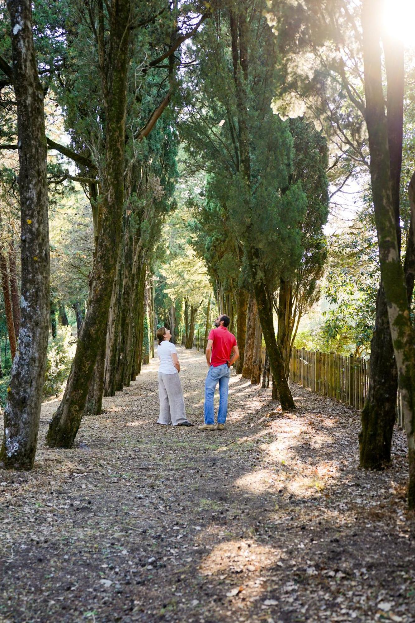 Villa Borgo Di Camporsevoli Exterior foto